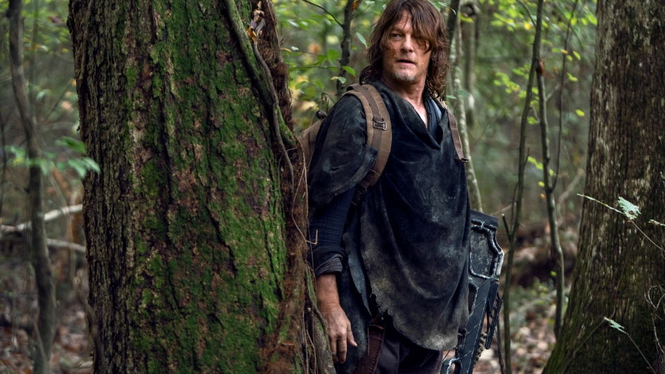 Daryl (Norman Reedus)