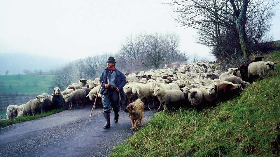 Szenenbild