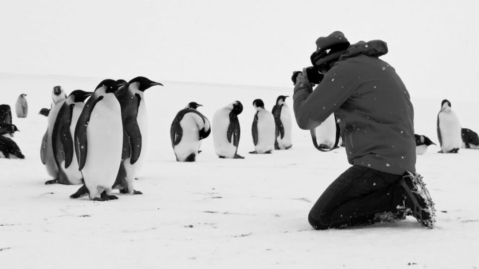 Szenenbild